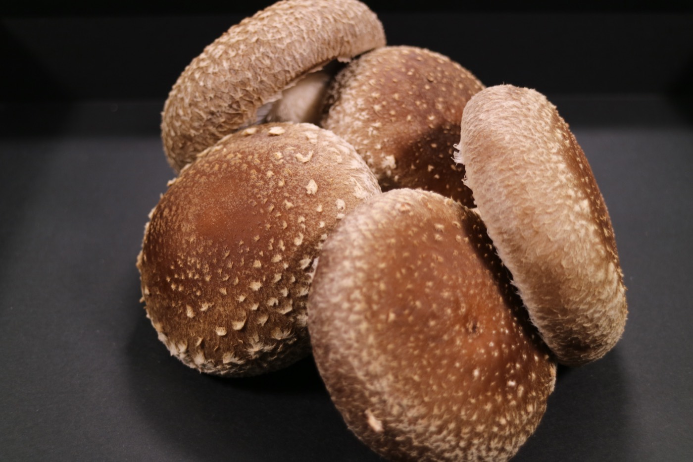 収穫データ入力